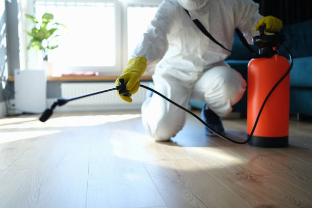 Reliable Odor Removal contractor in Fort Pierce, FL by Crime Scene Cleaner Online